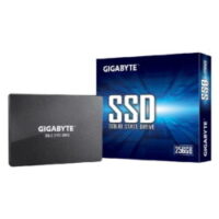 GIGABYTE SSD 256GB-GP-GSTFS31256GTND